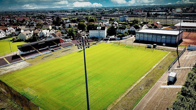 他的速度 他的速度