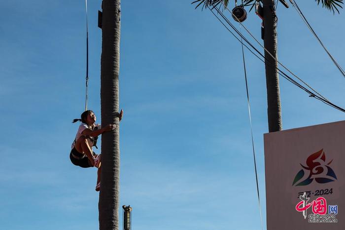 安赛龙为例 安赛龙为例