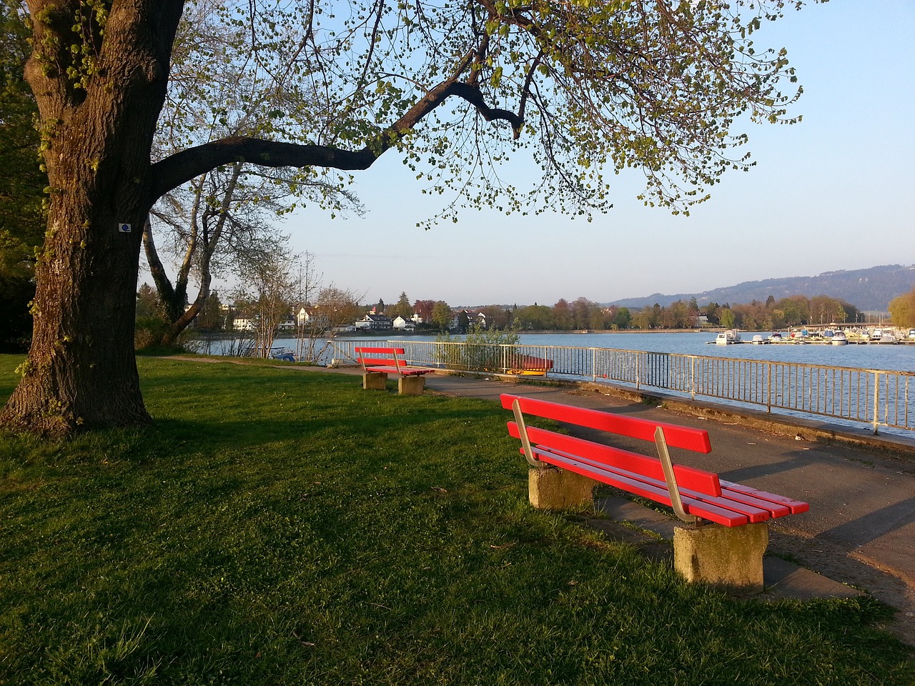 20-21賽季德甲聯賽第10輪比賽集錦.